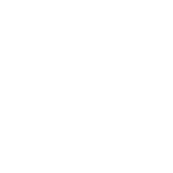 Icon für das Themengebiet Festival