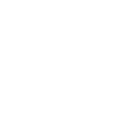 Icon für das Themengebiet Nachtleben