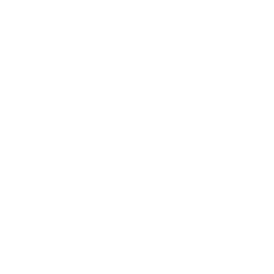 Icon für das Themengebiet Shopping