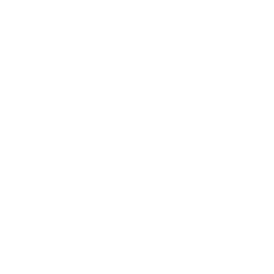 Icon für das Themengebiet Unternehmer